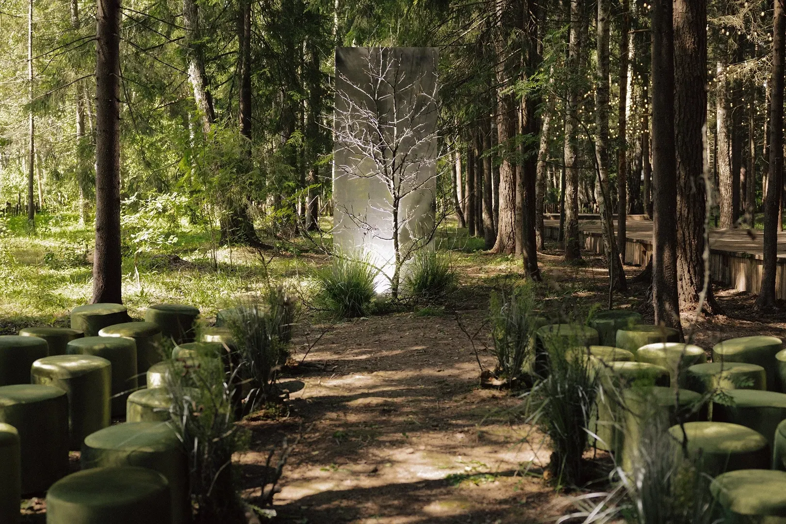 Photo Gallery image 4