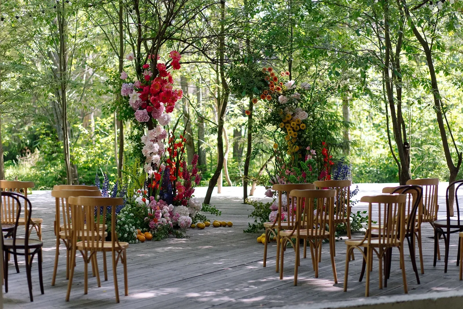 Photo Gallery image 14