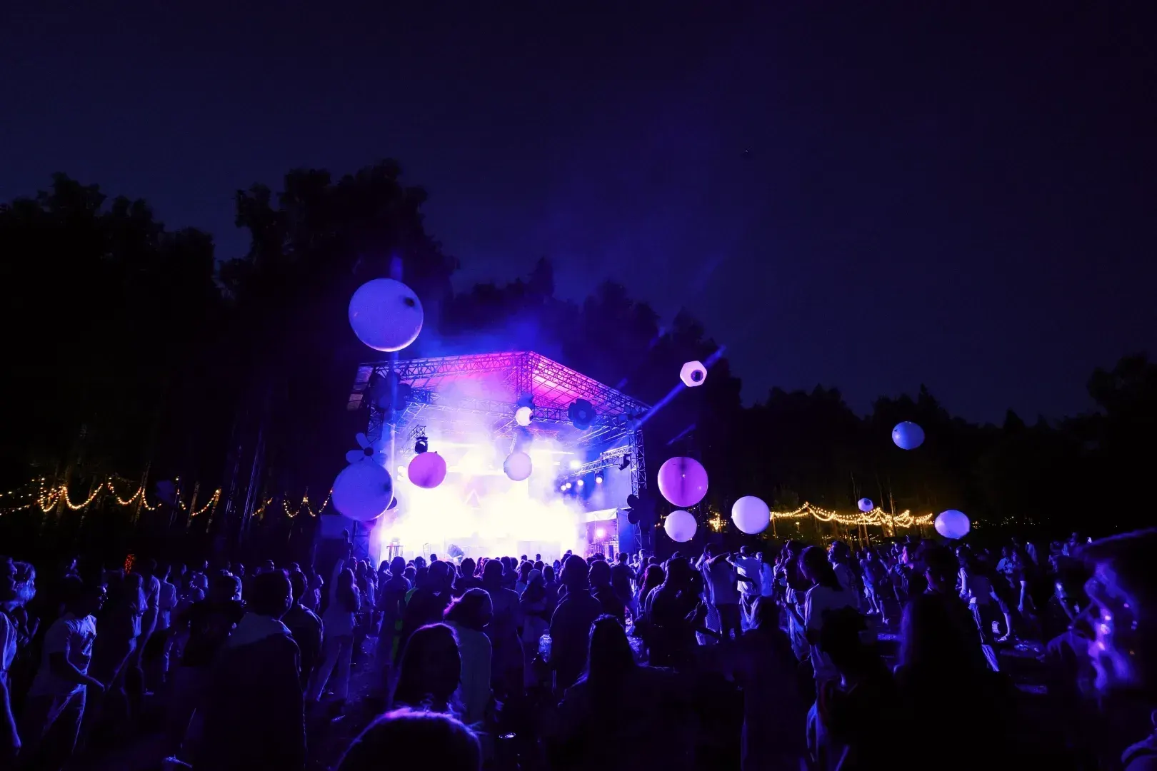 Photo Gallery image 10