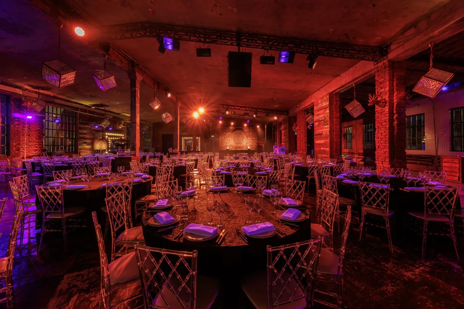 Photo Gallery image 2