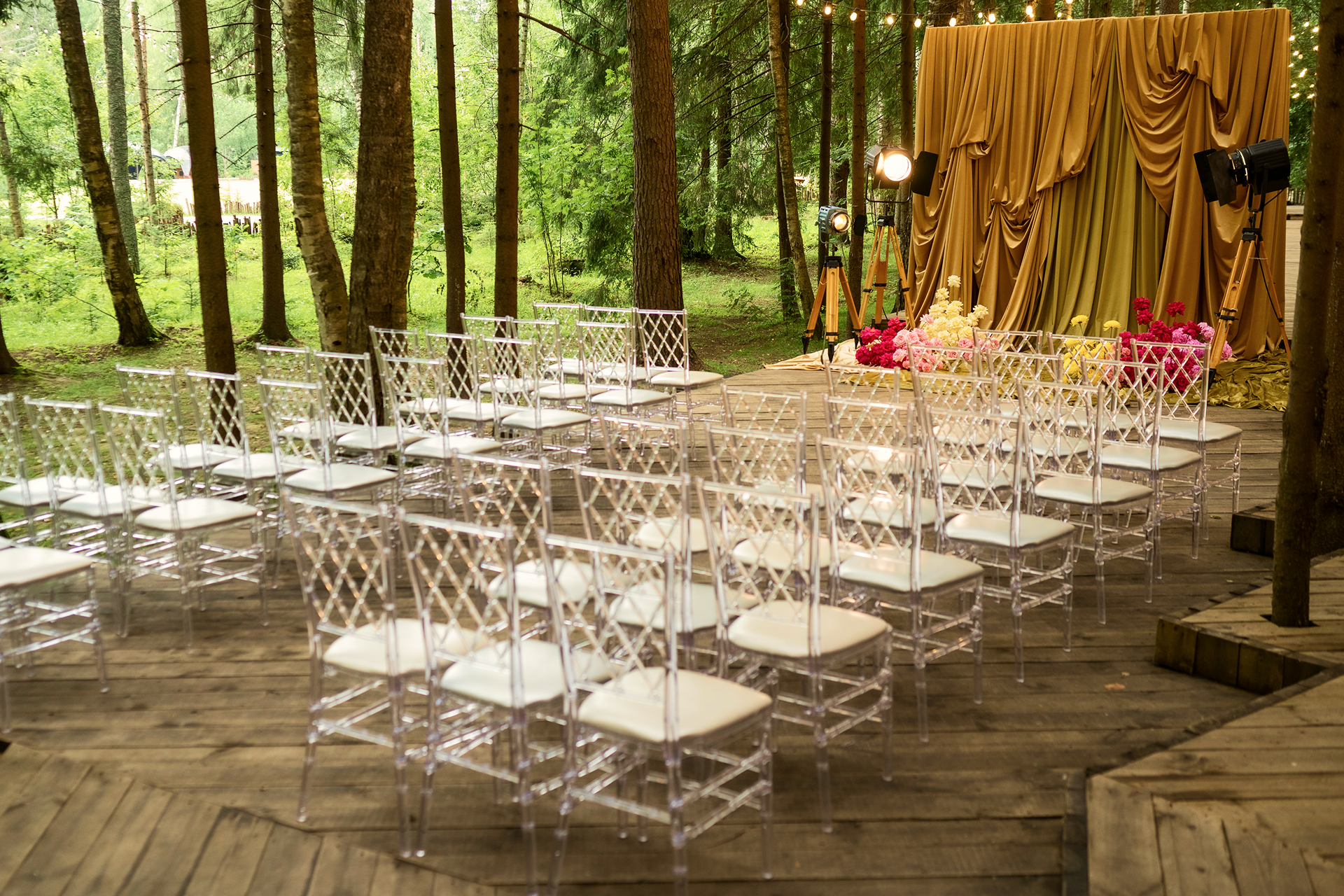 Photo Gallery image 5