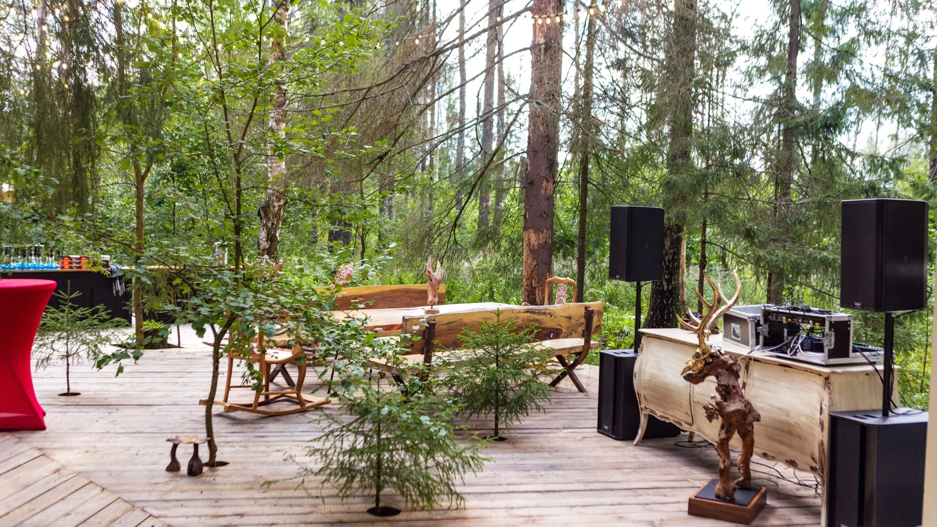 Photo Gallery image 12