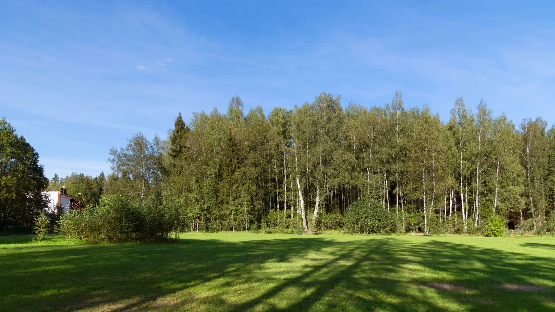 Photo Gallery image 16