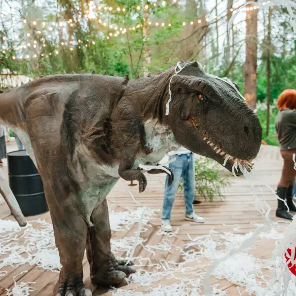 Детский праздник