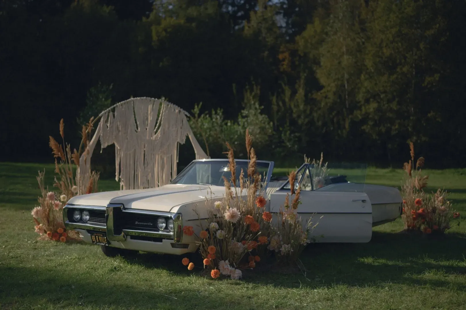 Photo Gallery image 2