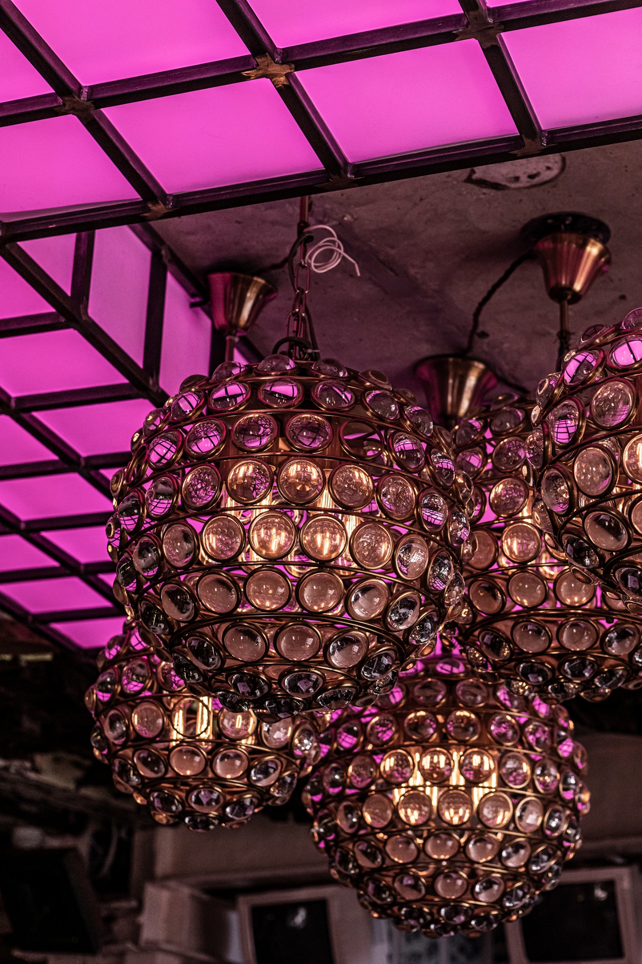 Photo Gallery image 5