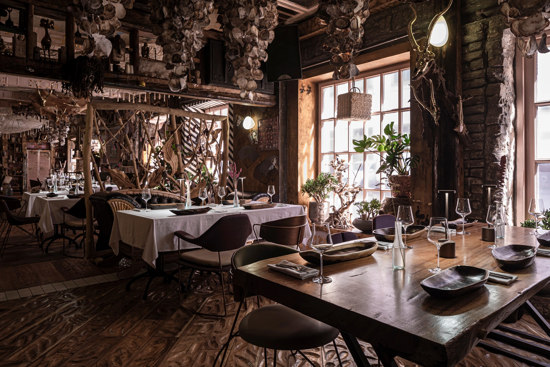 Photo Gallery image 3