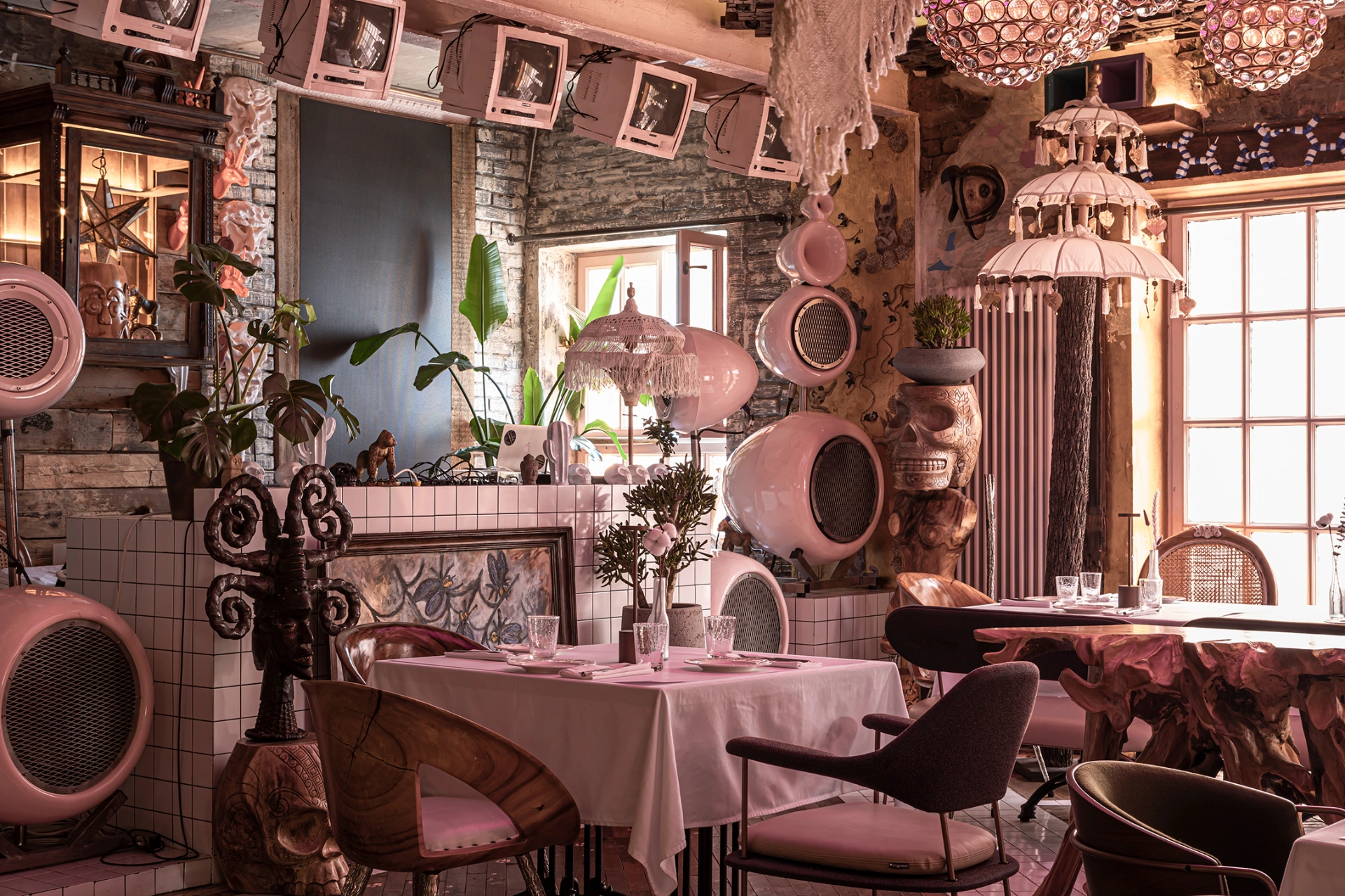 Photo Gallery image 3