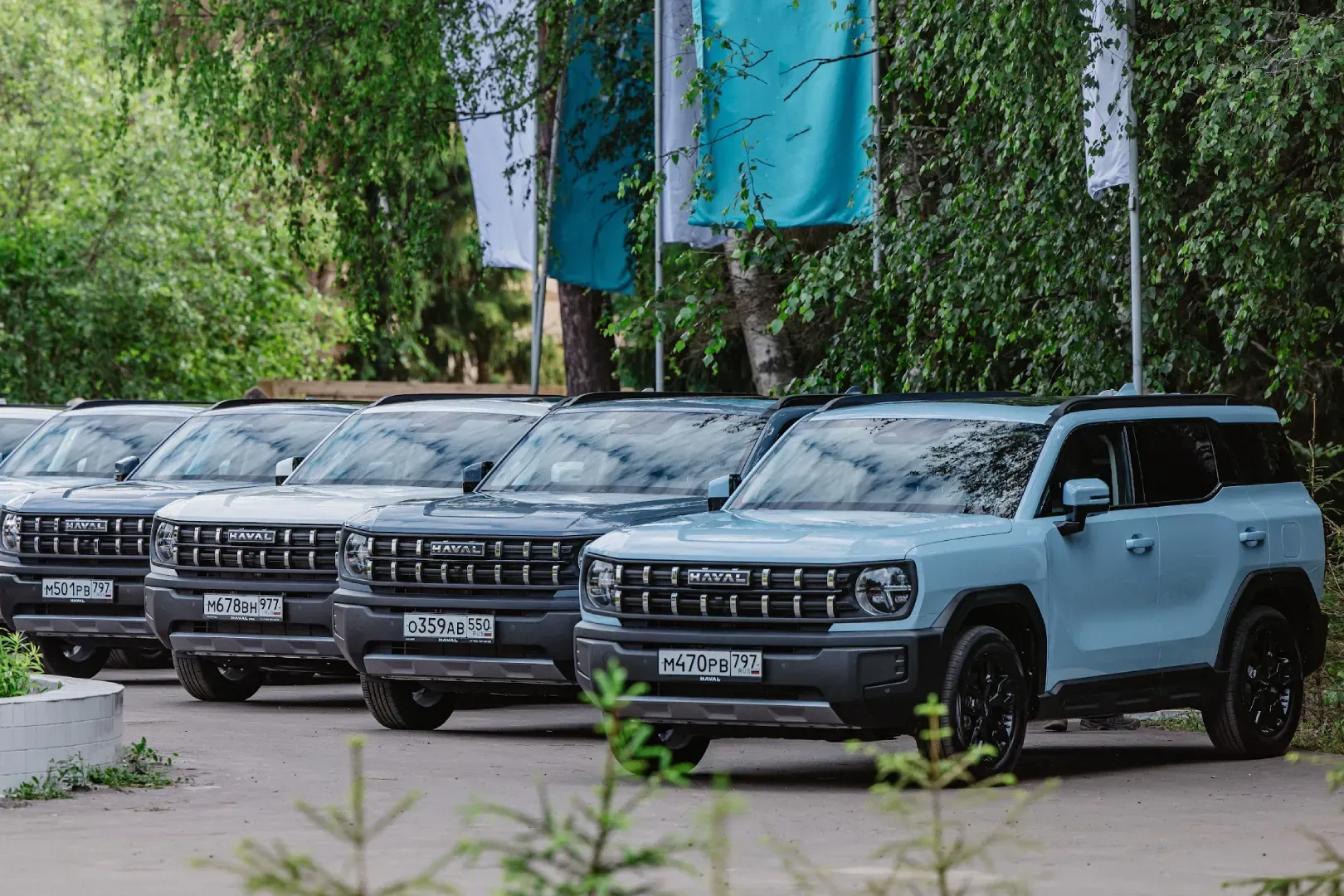 Photo Gallery image 11