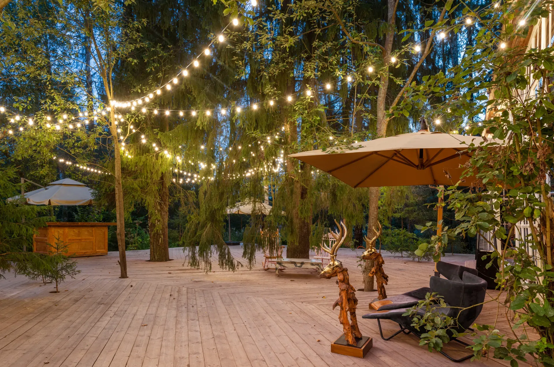 Photo Gallery image 6