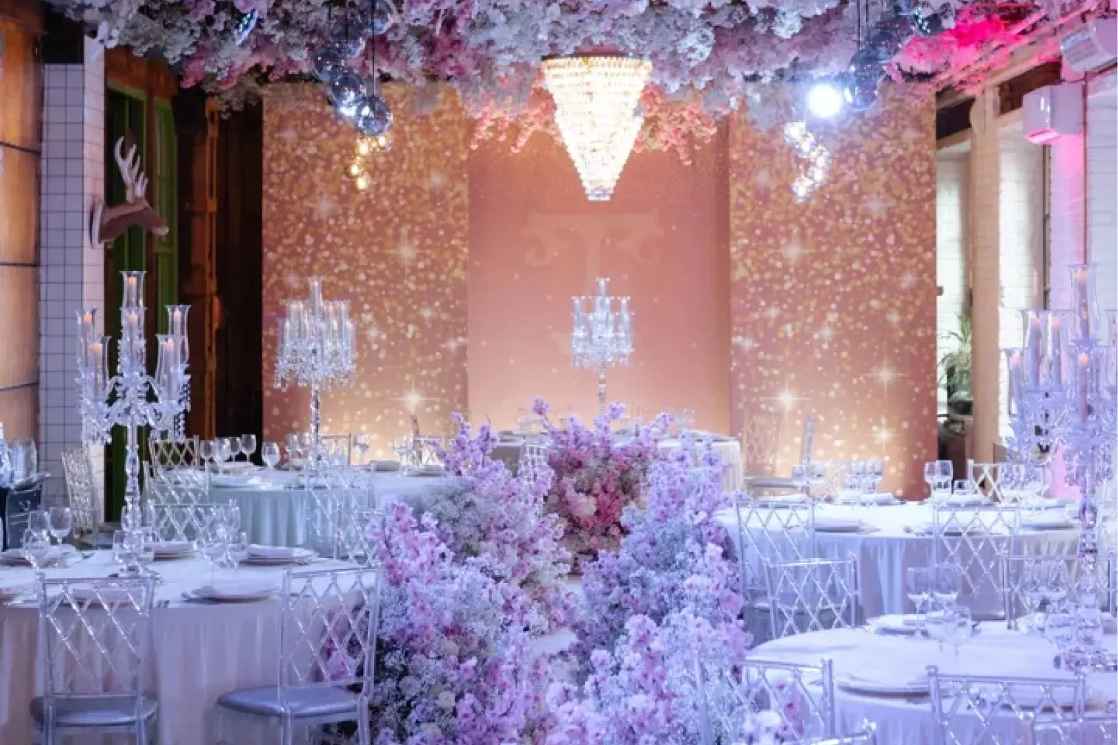 Photo Gallery image 12