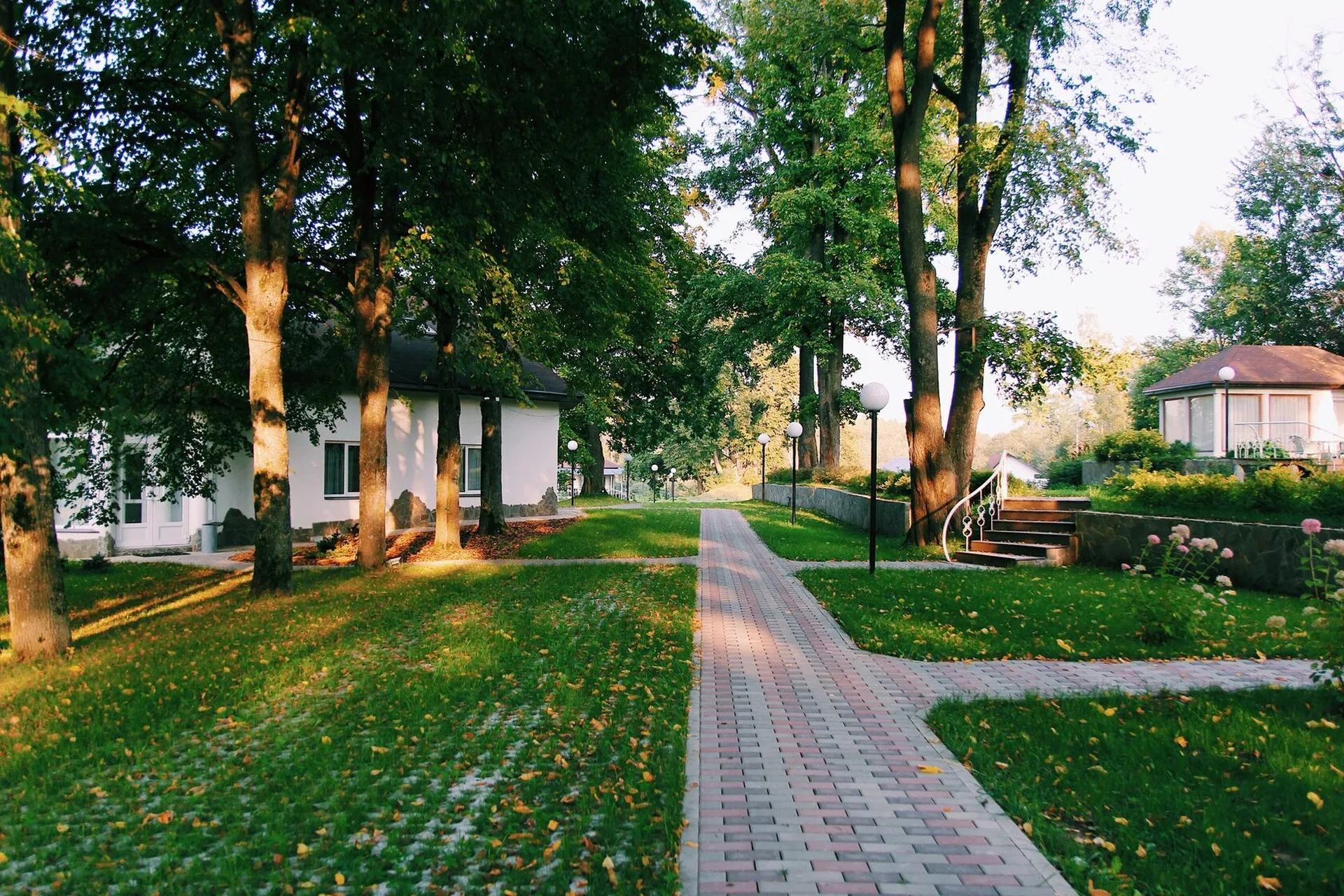 Photo Gallery image 1