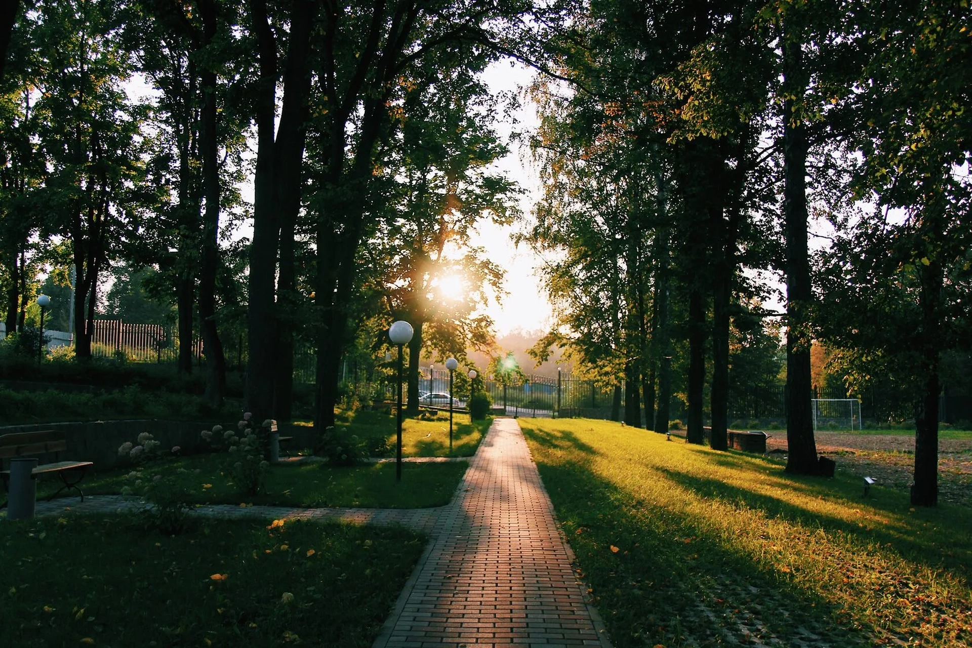 Photo Gallery image 2