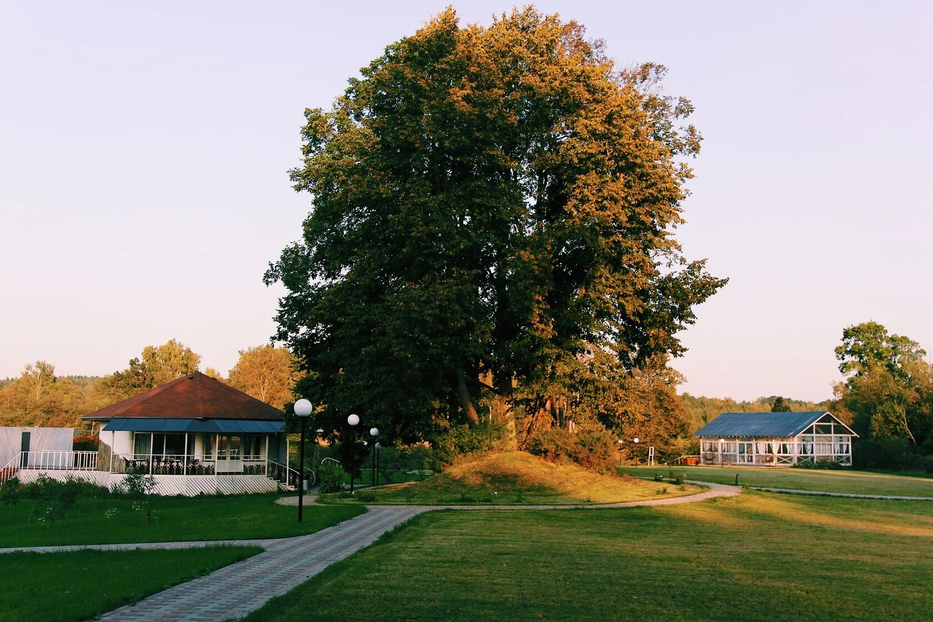 Photo Gallery image 5